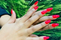 WhatsApp-Image-2025-07-14-at-8.23.12-AM-2